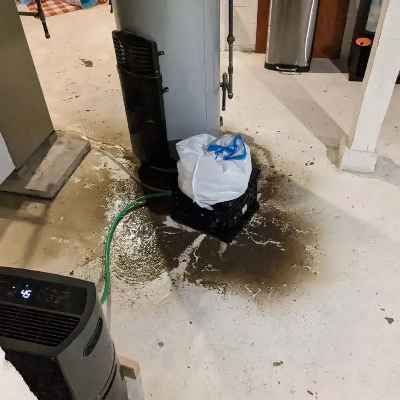 Sewage Backup Cleanup Service in Jarales, NM